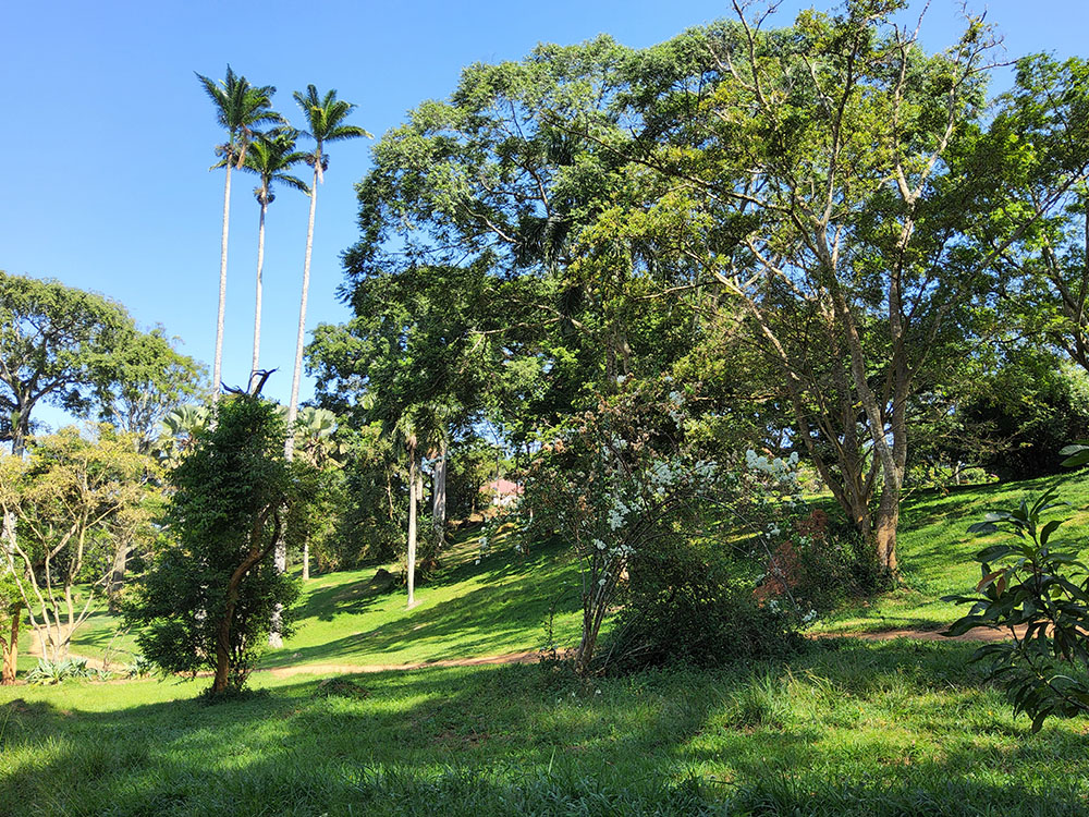 Exploring the Best Nature Walks in Entebbe